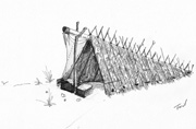 Both-Worlds-Shelter - © A. Farid